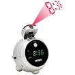 Jense AM/FM Projection Clock Radio - Silver (JCR-222)