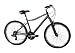 Raleigh Voyager LX Aluminium Alloy Comfort Mountain Bike...