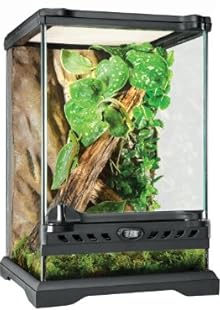 Exo Terra Glass Natural Terrarium Nano/Tall - 8 x 8 x 12 Inches