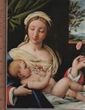 Giovanni Battista Salvi detto il Sassoferrato, La Madonna della Rosa