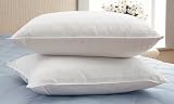 2 - Pk. Down and Feather - fill High - loft Pillows