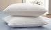 2 - Pk. Down and Feather - fill High - loft Pillows