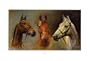 We Three Kings Art Poster Print by Susan Crawford, 16x12