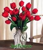 20 Premium Red Fresh Tulips