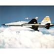 (16x20) USAF F-5 Jet Airplane Art Print Poster Airforce PLANE