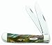 Case Cutlery 9254AB Abalone Corelon Trapper Pocket Knife With Stainless Steel Blades Green, Gray, White and Gold Mixed Corelon