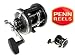 Sporting Goods : Penn 330 GT2 Saltwater Conventional Fishing Reel NEW