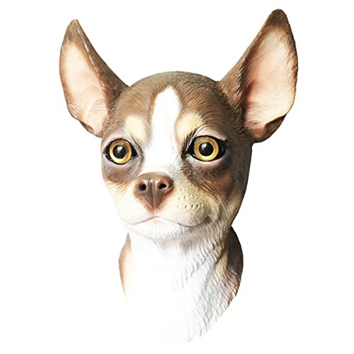 Chihuahua dog costume face mask - off the wall toys kennel club