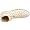 Converse AS Hi Can M9162, Unisex-Erwachsene Sneaker, Beige (white), EU 48 (US 13) zus&auml;tzliches Bild 8