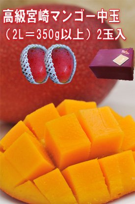 【父の日　母の日ギフト】高級宮崎完熟マンゴー2Ｌ2個（700ｇ以上化粧箱入）