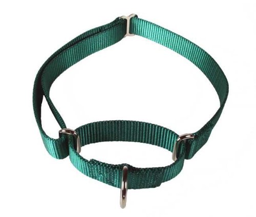 Martingale Large Green Heavyduty Nylon Dog Collar