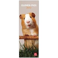 The Pig 2013. Artlist