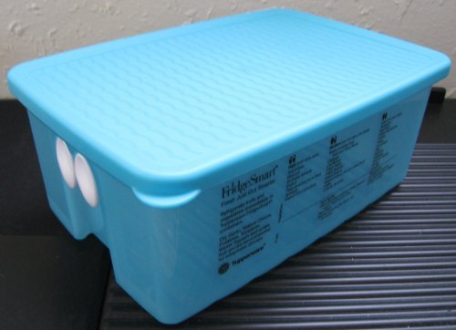 Tupperware FRIDGESMART Medium Tropical Water/Blue