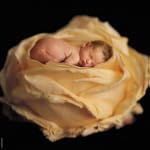 Schmidt Spiele 58931 - Anne Geddes, Q...