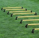 Trainingshürden  Small , 8er Set (Stück)