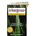 Books : Wheatgrass Natures Finest MedicineThe Complete Guide to Using Grasses to Revitalize Your Health
