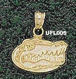 Univ Of Florida Gator Head 3/8 Charm/Pendant -14K/10K, Stainless Steel or Gold Plated
