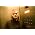 Vignette de Jay Brannan