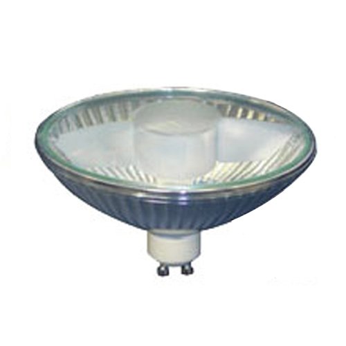 Bulbrite 75R111GU/FL 75-Watt Halogen Flood Light
