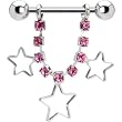 Pink Gem Hollow Star Nipple Ring