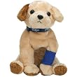 Ty Beanie Babies Pads the Pdsa Dog (European Exclusive)