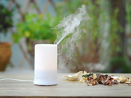 LBRNO Electric Ultrasonic Aromatherapy Essential Oil Cool Mist Humidifier Diffuser with Color LED light and Auto off for Bedroom Office Reading Room