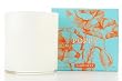 Paddywax Garden Crush Collection 9 oz Boxed Glass Candle
