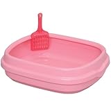 �A�C���X�I�[���} �l�R�̃g�C�� NE-490�i���j ������s���N