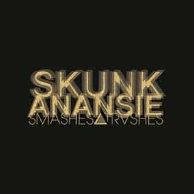 Smashes and Trashes - The Greatest Hits [Explicit]