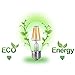 A19 LED Edison Style Bulb - 6W LED Vintage Filament Light Bulb 60W Equivalent - Soft White (2700K) - E26 Base - Non Dimmable - 1 Pack - by BIPEE