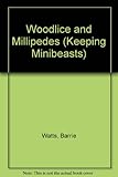 Woodlice and millipedes