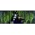 Sleeping Beauty (Two-Disc Platinum Edition)