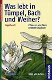 Was lebt in Tuempel, Bach und Weiher?: Pflanzen und Tiere unserer Gewaesser. Eine Einfuehrung in die Lehre vom Leben der Binnengewaesser