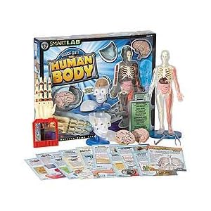 Smart Lab Inside Out The Human Body by