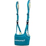 Walking Wings Learning to Walk Assistant