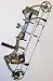 Bear Archery Assault Compound Bow Package