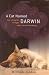 A Cat Named Darwin: How a Stray Cat Changed a Man into a Human Being