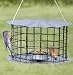 Bluebird Feeder