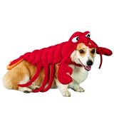 Lobster Pet Costume - Medium