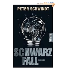 Schwarzfall: Thriller
