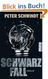Schwarzfall: Thriller