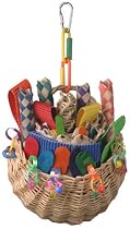 Super Bird Creations 10 by 5-Inch Foraging Basket Bird Toy, Medium
