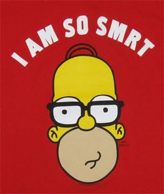 Homer Is Smrt - Simpsons T-shirt: Adult Medium - Red