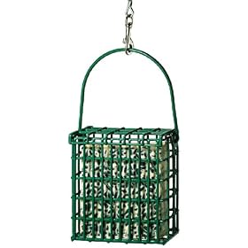 Droll Yankees, Inc Suet Feeder by