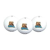 Team Effort UCLA Bruins Golf Ball 3 Pack