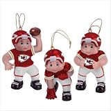 NFL Ornament Team Players (Set of 3) Team: Miami Dolphins