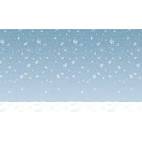 30' Winter Sky Backdrop Adult