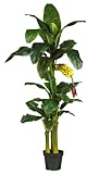 IMAGE OF 6' Silk Banana Tree w/ 3 Stalks