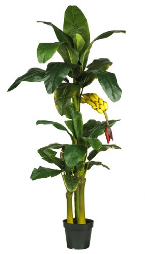 6' Silk Banana Tree w/ 3 Stalks