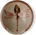Dragonfly Spoon Rest